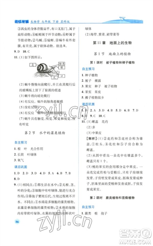 陕西师范大学出版总社2023绩优学案七年级生物下册苏科版参考答案 陕西师范大学出版总社2023绩优学案七年级生物下册苏科版参考答案