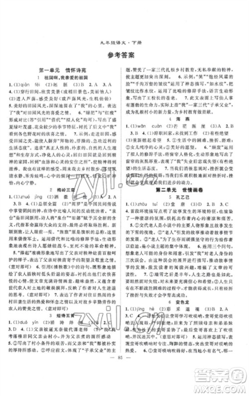 长江少年儿童出版社2023优质课堂导学案B课后作业九年级语文下册人教版参考答案 长江少年儿童出版社2023优质课堂导学案B课后作业九年级语文下册人教版参考答案