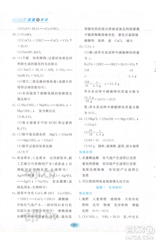 黑龙江教育出版社2023资源与评价九年级下册化学人教版参考答案 黑龙江教育出版社2023资源与评价九年级下册化学人教版参考答案