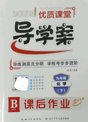 长江少年儿童出版社2023优质课堂导学案B课后作业九年级化学下册人教版参考答案