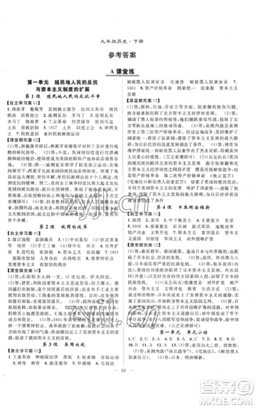 长江少年儿童出版社2023优质课堂导学案B课后作业九年级历史下册人教版参考答案