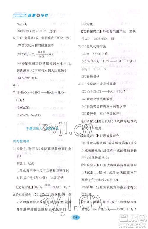 黑龙江教育出版社2023资源与评价九年级下册化学人教版54制参考答案