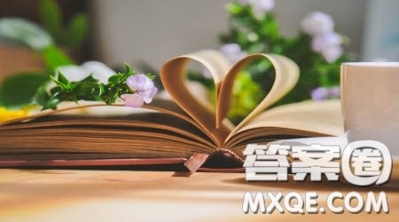 对抗争的认识作文800字 关于对抗争的认识的作文800字