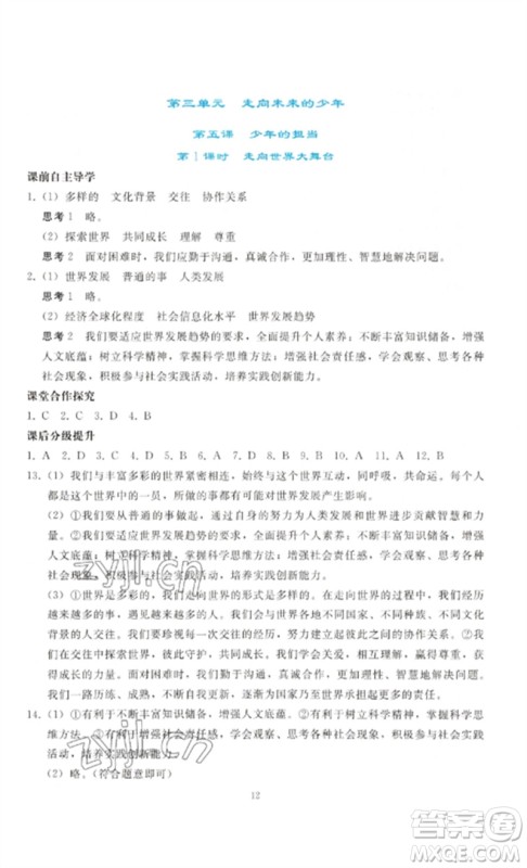 人民教育出版社2023同步轻松练习九年级道德与法治下册人教版参考答案