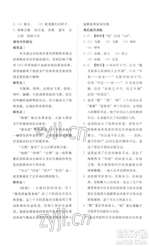 人民教育出版社2023同步轻松练习九年级语文下册人教版参考答案