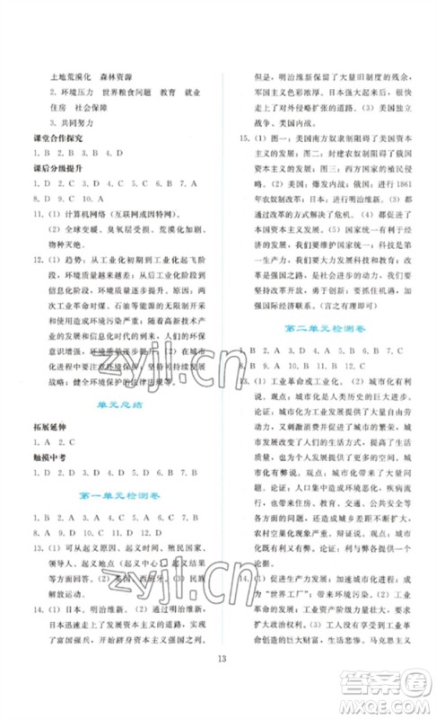 人民教育出版社2023同步轻松练习九年级世界历史下册人教版参考答案