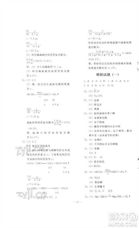 人民教育出版社2023同步轻松练习九年级化学总复习人教版参考答案