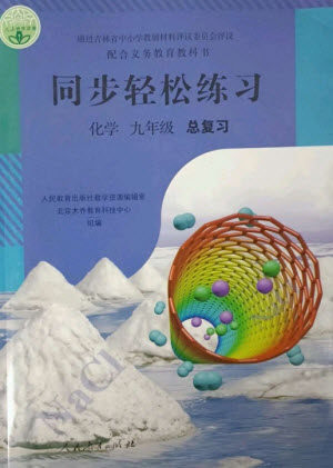 人民教育出版社2023同步轻松练习九年级化学总复习人教版参考答案