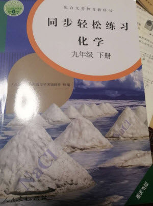 人民教育出版社2023同步轻松练习九年级化学下册人教版重庆专版参考答案