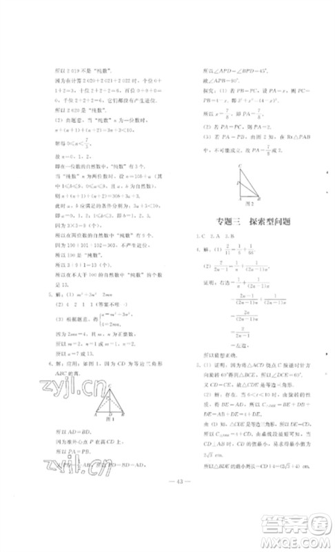 人民教育出版社2023同步轻松练习九年级数学总复习人教版参考答案