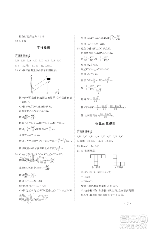 山东人民出版社2023初中卷行知天下九年级下册数学青岛版参考答案