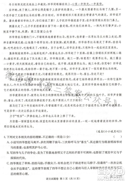 2023届湖南新高考教学教研联盟高三第二次联考语文试卷答案