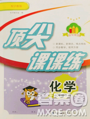 福建人民出版社2023顶尖课课练九年级下册化学沪教版参考答案