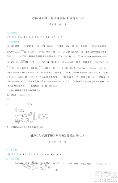 福建人民出版社2023顶尖课课练九年级下册化学科学版参考答案