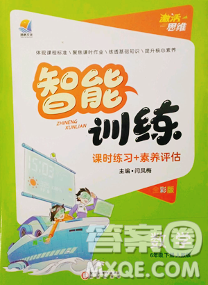 阳光出版社2023激活思维智能训练六年级下册数学人教版参考答案