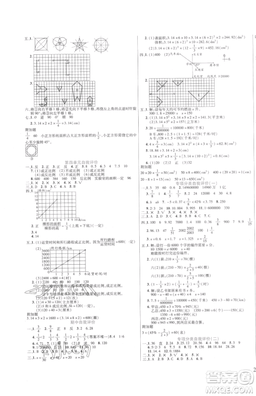 阳光出版社2023激活思维智能训练六年级下册数学北师大版参考答案