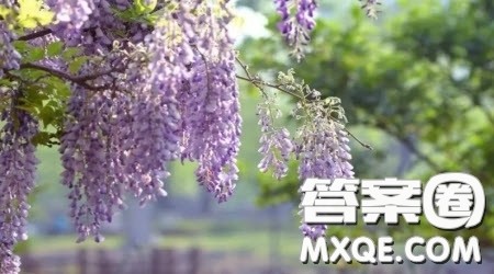 常常想起这首歌为题作文600字 关于常常想起这首歌为题目的作文600字