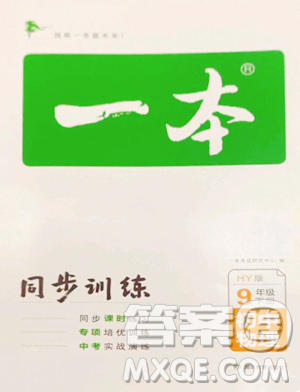 湖南教育出版社2023一本同步训练九年级下册物理沪粤版参考答案