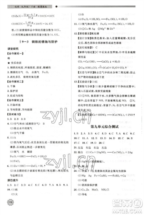 明天出版社2023初中同步练习册九年级化学下册鲁教版参考答案