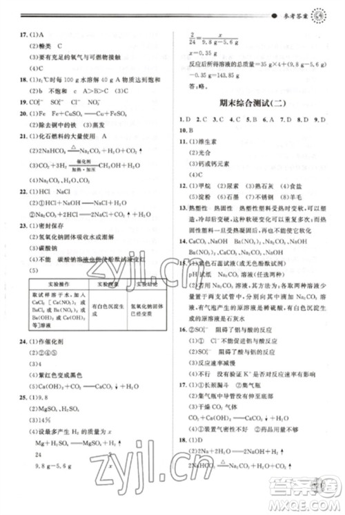 明天出版社2023初中同步练习册九年级化学下册鲁教版参考答案
