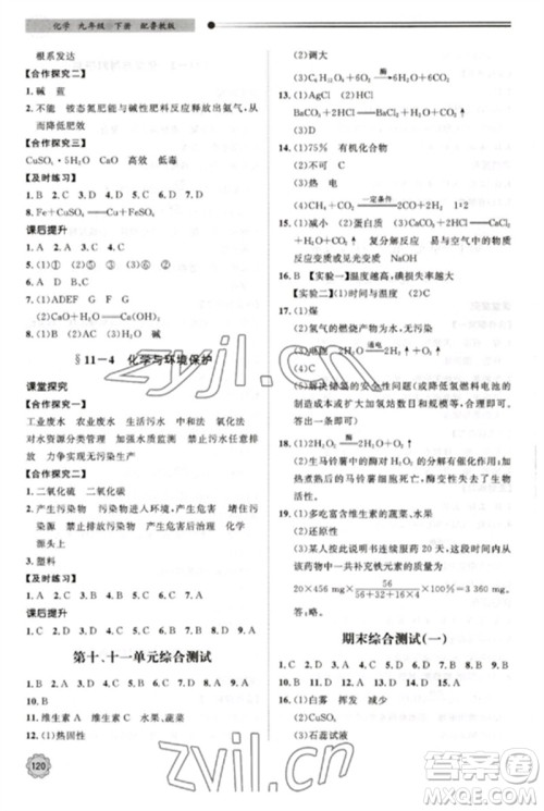 明天出版社2023初中同步练习册九年级化学下册鲁教版参考答案