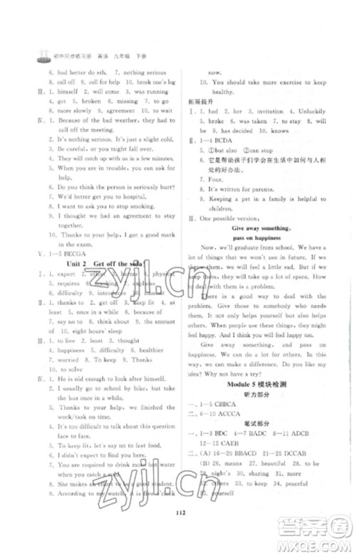 山东友谊出版社2023初中同步练习册九年级英语下册外研版参考答案 山东友谊出版社2023初中同步练习册九年级英语下册外研版参考答案