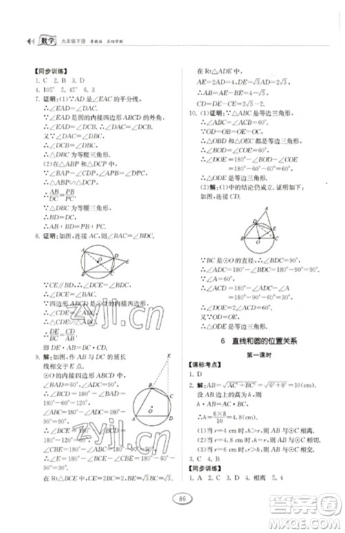 山东科学技术出版社2023初中同步练习册九年级数学下册鲁教版五四制参考答案