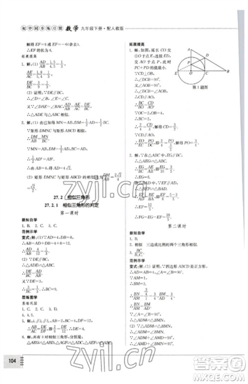 山东教育出版社2023初中同步练习册九年级数学下册人教版参考答案