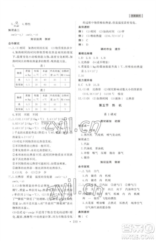 山东人民出版社2023初中同步练习册九年级物理下册鲁科版五四制参考答案