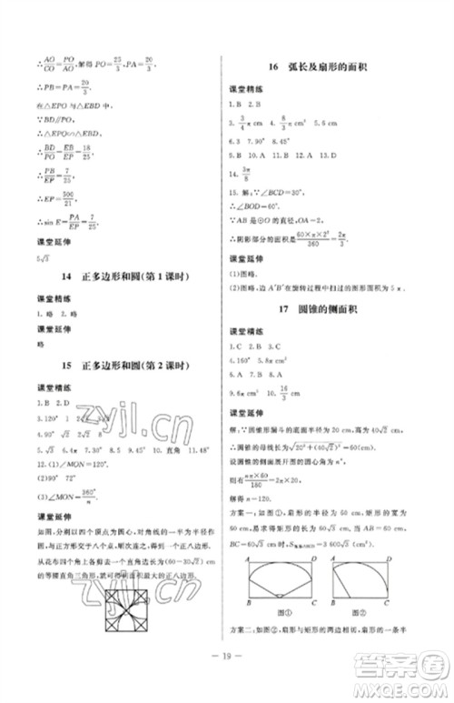 北京师范大学出版社2023初中同步练习册九年级数学下册鲁教版五四制参考答案