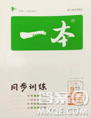湖南教育出版社2023一本同步训练九年级下册道德与法治人教版参考答案 湖南教育出版社2023一本同步训练九年级下册道德与法治人教版参考答案