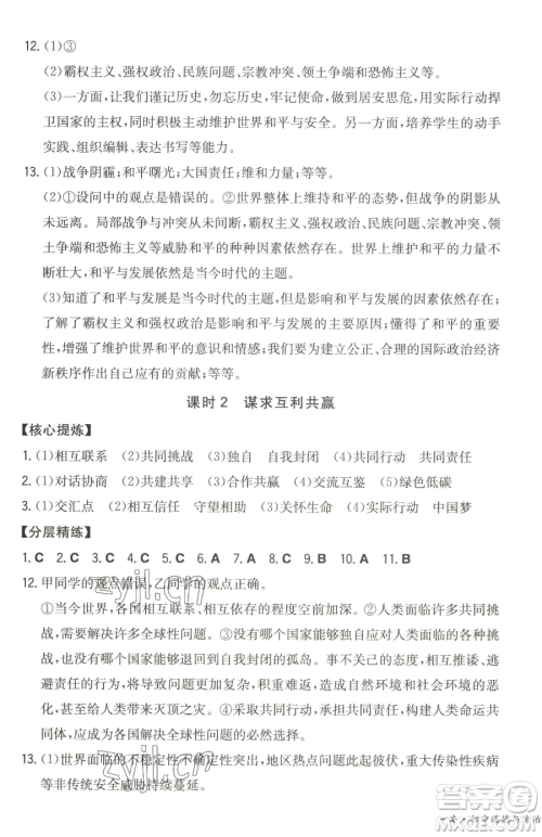 湖南教育出版社2023一本同步训练九年级下册道德与法治人教版参考答案