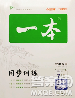 湖南教育出版社2023一本同步训练七年级下册数学沪科版安徽专用参考答案 湖南教育出版社2023一本同步训练七年级下册数学沪科版安徽专用参考答案