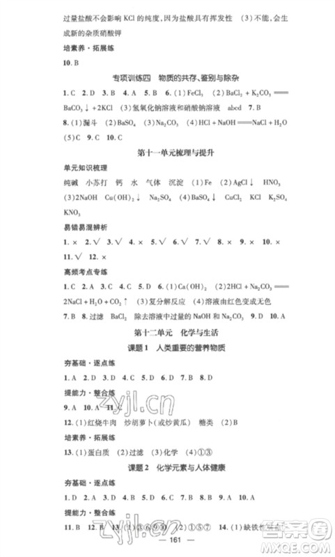 江西教育出版社2023精英新课堂三点分层作业九年级化学下册人教版参考答案