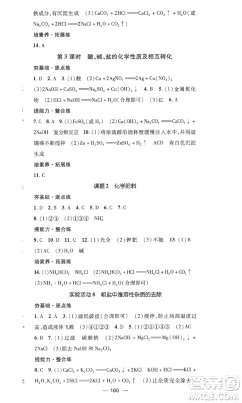 江西教育出版社2023精英新课堂三点分层作业九年级化学下册人教版参考答案