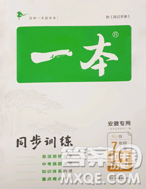 湖南教育出版社2023一本同步训练七年级下册历史人教版安徽专用参考答案