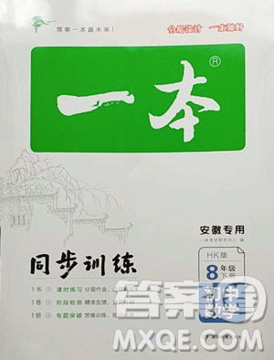湖南教育出版社2023一本同步训练八年级下册数学沪科版安徽专用参考答案 湖南教育出版社2023一本同步训练八年级下册数学沪科版安徽专用参考答案