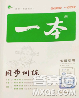 湖南教育出版社2023一本同步训练九年级下册数学沪科版安徽专用参考答案