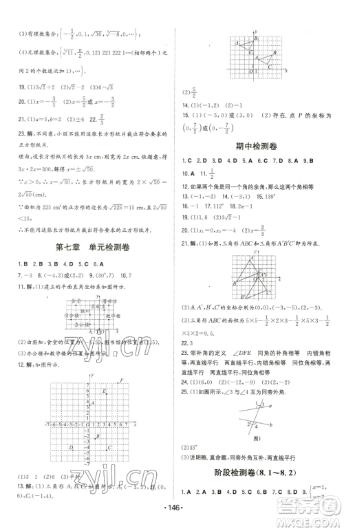 湖南教育出版社2023一本同步训练七年级下册数学人教版参考答案