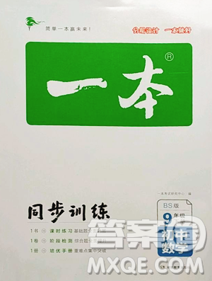 湖南教育出版社2023一本同步训练九年级下册数学北师大版参考答案 湖南教育出版社2023一本同步训练九年级下册数学北师大版参考答案