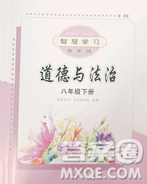 明天出版社2023智慧学习导学练八年级下册道德与法治人教版参考答案
