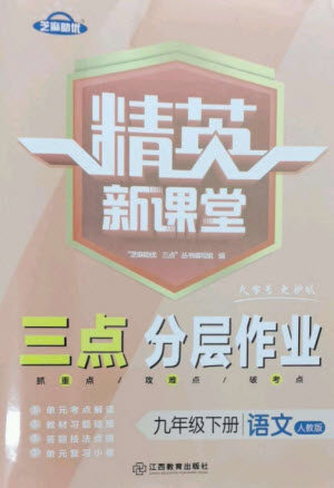 江西教育出版社2023精英新课堂三点分层作业九年级语文下册人教版参考答案 江西教育出版社2023精英新课堂三点分层作业九年级语文下册人教版参考答案