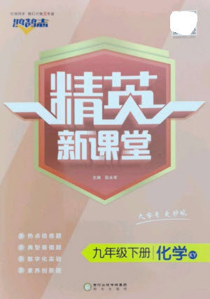 阳光教育出版社2023精英新课堂九年级化学下册科粤版参考答案