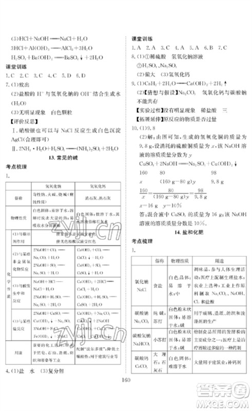 长江少年儿童出版社2023中考复习指南化学通用版黄石专版参考答案