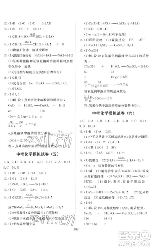 长江少年儿童出版社2023中考复习指南化学通用版黄石专版参考答案