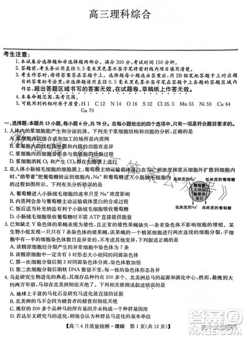 2023九师联盟4月20日质量监测高三理科综合试卷答案