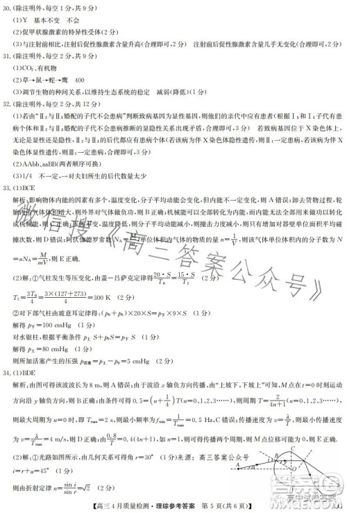 2023九师联盟4月20日质量监测高三理科综合试卷答案