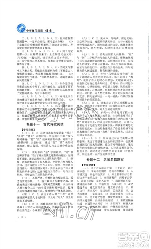 四川教育出版社2023中考复习指南九年级语文通用版参考答案