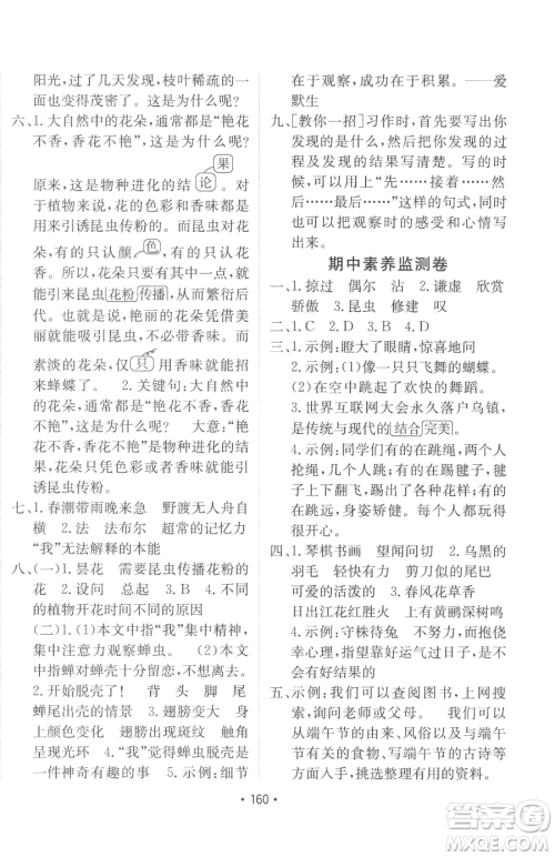 新疆青少年出版社2023同行课课100分过关作业三年级下册语文人教版参考答案