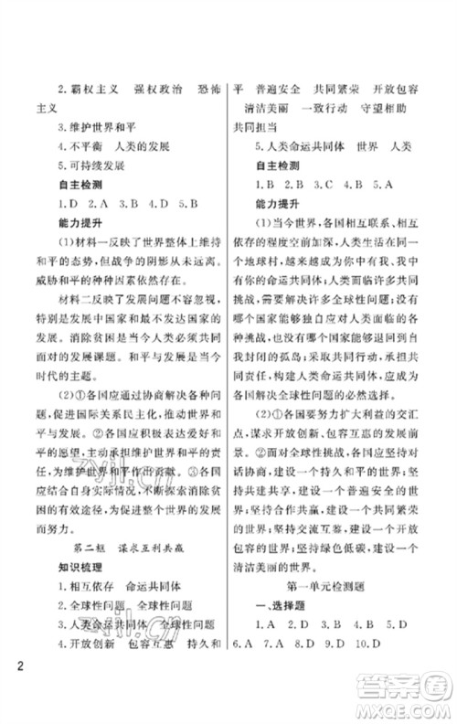 武汉出版社2023智慧学习天天向上课堂作业九年级道德与法治下册人教版参考答案